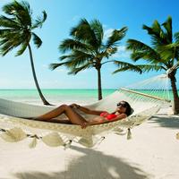 Отзыв от Леся - DTV виза